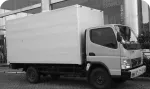 Thrubus