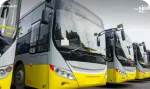 Thrubus